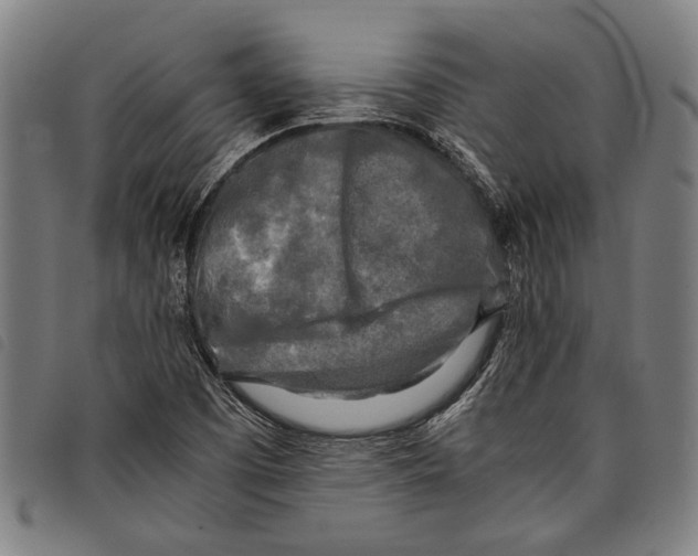 X0000097781457200804041204