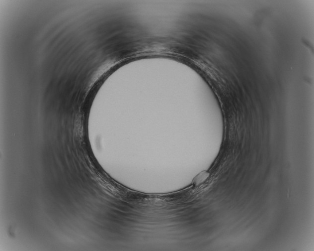 X0000097781458200804041204