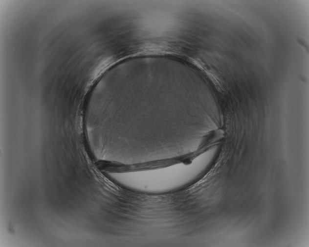 X0000097781459200804041204