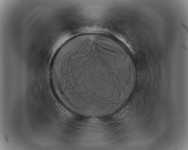 X0000097781463200804041203