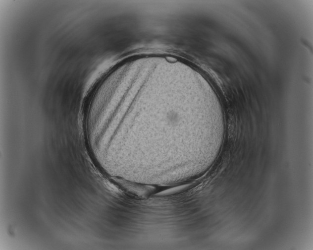 X0000097781464200804041203