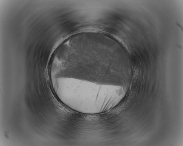 X0000097781466200804041203