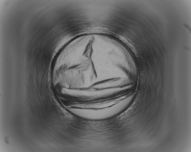 X0000097781469200804041203