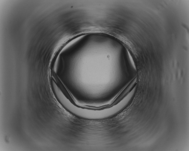 X0000097781472200804041203