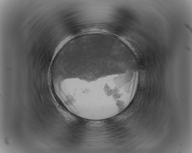 X0000097781474200804041203