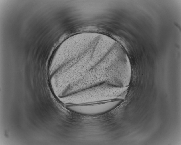 X0000097781475200804041203