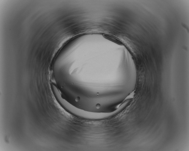 X0000097781476200804041203