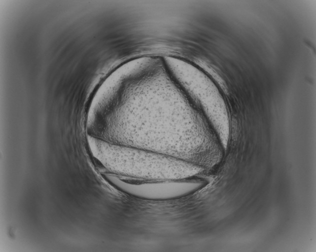 X0000097781477200804041203