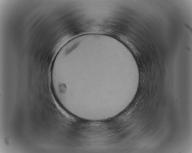 X0000097781479200804041203