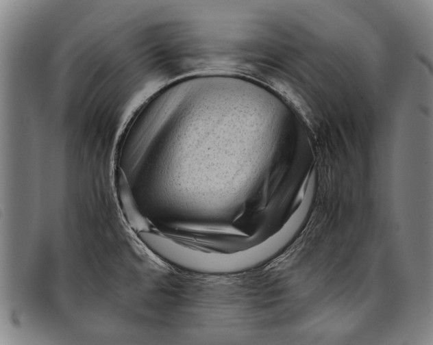 X0000097781480200804041203