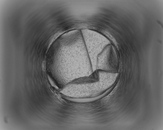 X0000097781481200804041203