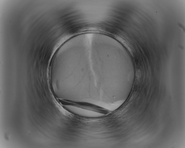 X0000097781482200804041203