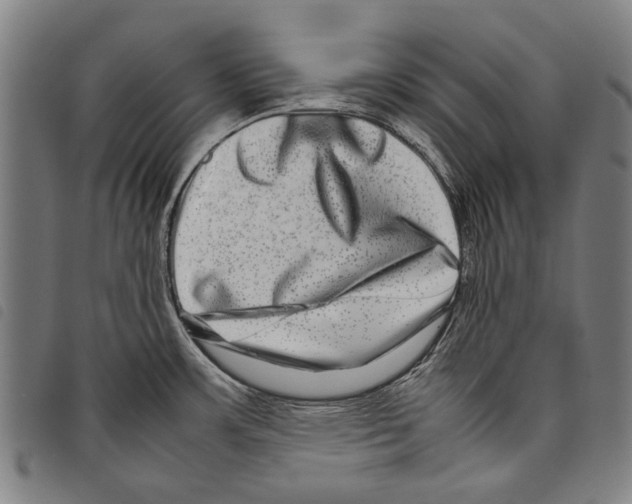 X0000097781483200804041203