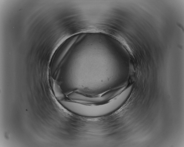 X0000097781484200804041203