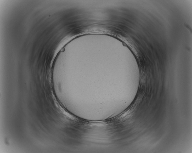 X0000097781486200804041203