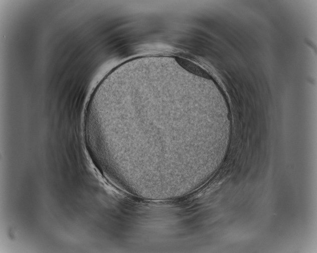 X0000097781488200804041203