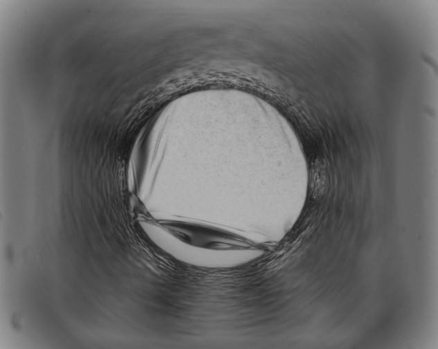 X0000097781490200804041202