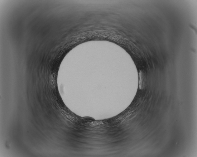 X0000097781491200804041202