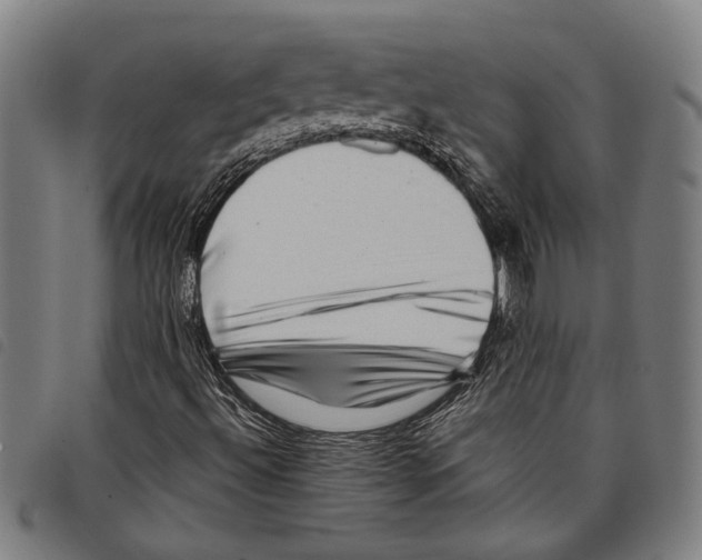 X0000097781492200804041202