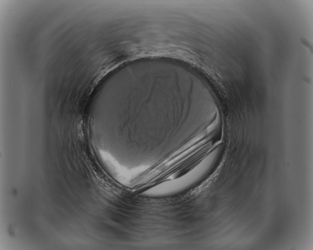 X0000097781497200804041202