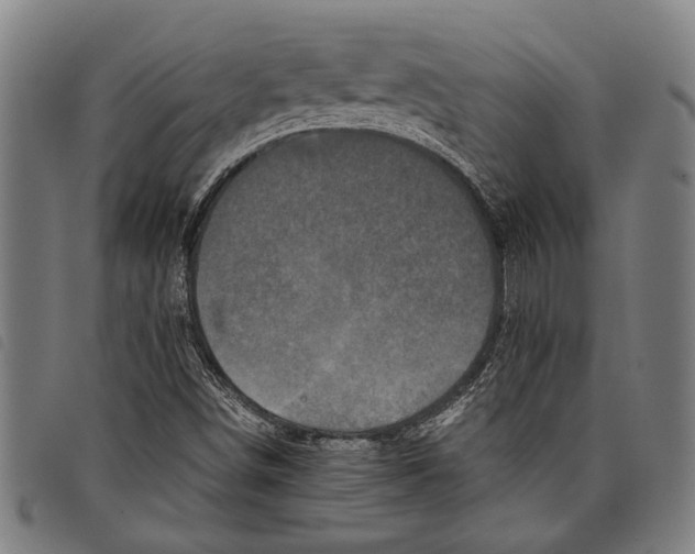 X0000097781498200804041203