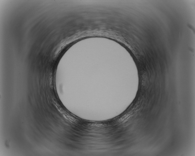 X0000097781499200804041203