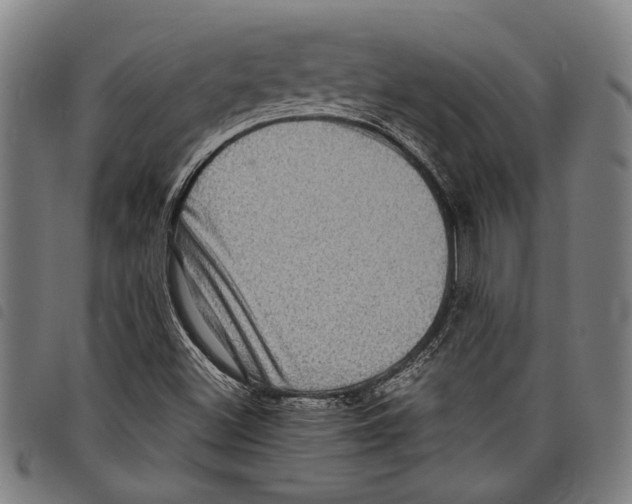 X0000097781500200804041203