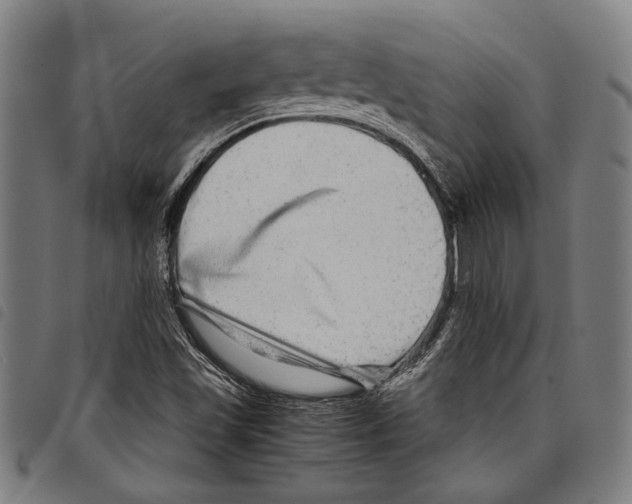 X0000097781501200804041203