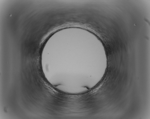 X0000097781502200804041203