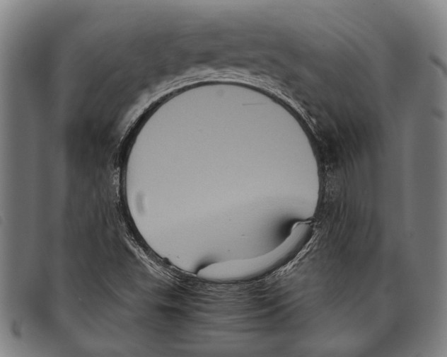 X0000097781503200804041203