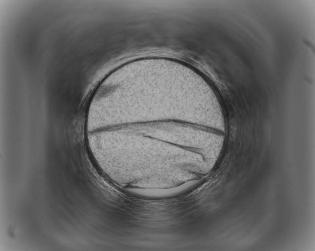 X0000097781504200804041203