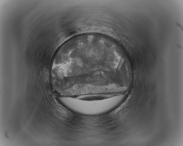 X0000097781505200804041203