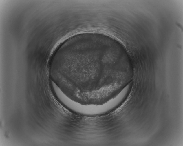 X0000097781506200804041203