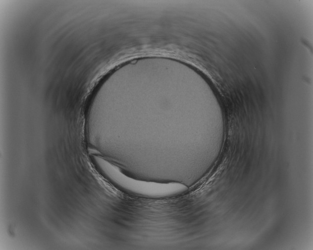 X0000097781507200804041203