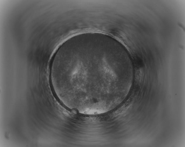 X0000097781508200804041203