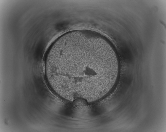 X0000097781509200804041203