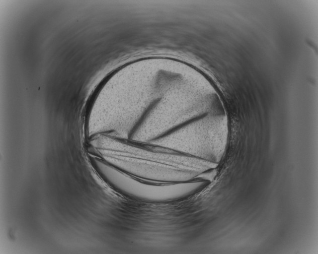 X0000097781511200804041203