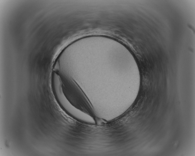 X0000097781512200804041203