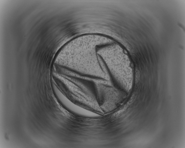 X0000097781513200804041203