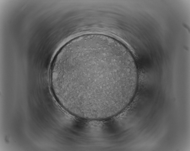 X0000097781514200804041203