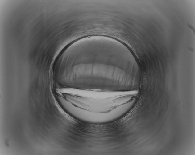 X0000097781515200804041203