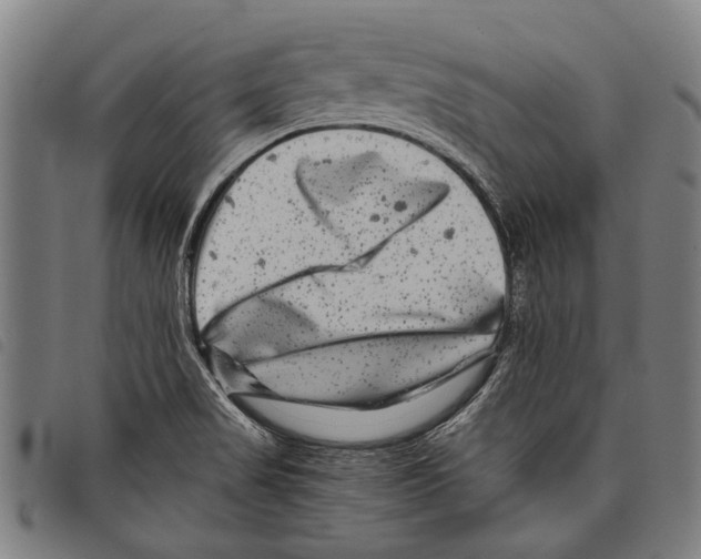 X0000097781517200804041203