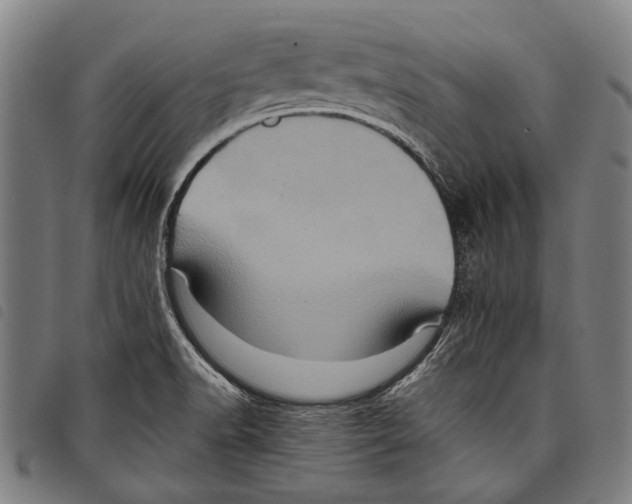 X0000097781518200804041203