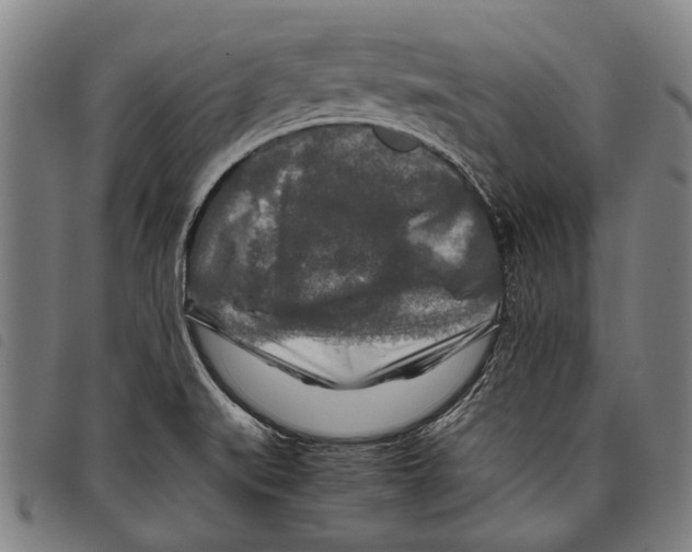 X0000097781519200804041203