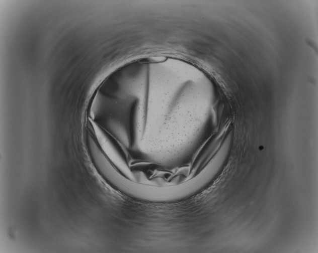 X0000097781520200804041203