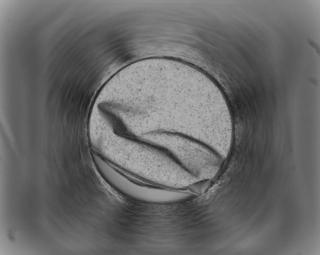 X0000097781521200804041203