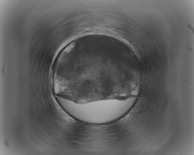 X0000097781522200804041203