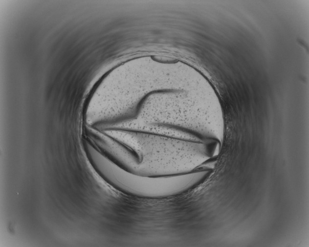 X0000097781523200804041203