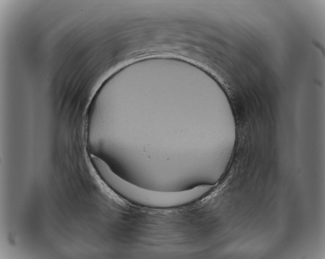 X0000097781526200804041203