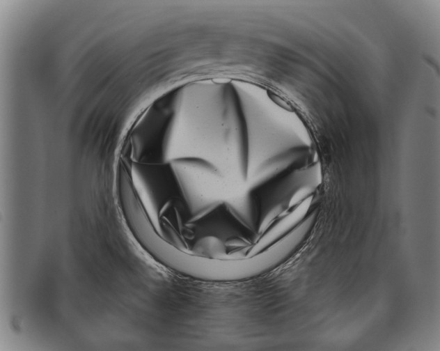 X0000097781528200804041203